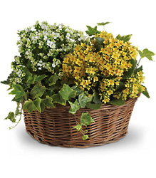 Basket of Joy from Boulevard Florist Wholesale Market